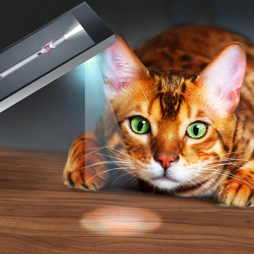 Light Beam For Cat Joke app icon