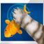 Simulator Cat Fishing icon