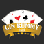 Gin Rummy Dark: Card Game icon