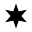 Type Checker for Champions,SV icon