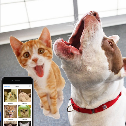 Cat Meow : Prank and troll your pets app icon