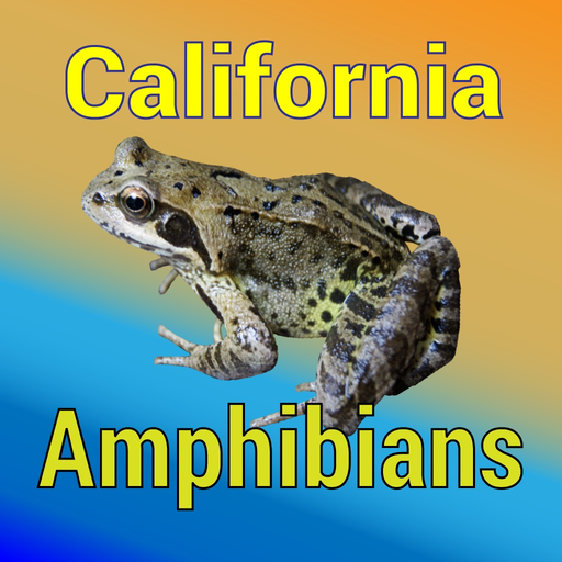 California Amphibians app icon