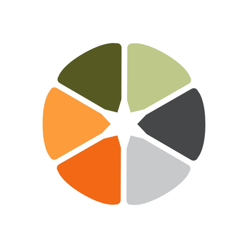 Bank Orange app icon