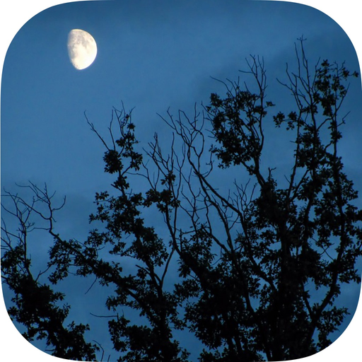 Relax Night Sounds - White Noise app icon