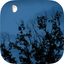 Relax Night Sounds - White Noise icon