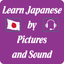 Japanese Vocabulary - Learn and Test icon