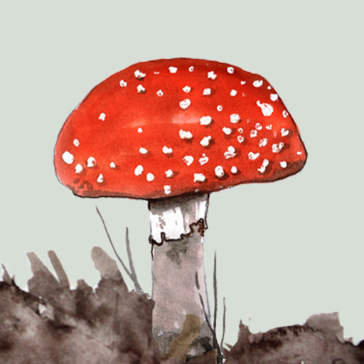 Mushrooms & other Fungi UK app icon