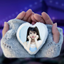 Love Photo Frame 2017 icon