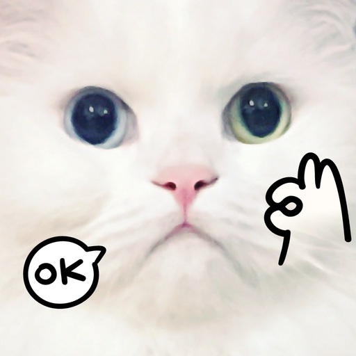 My Dumb Cats app icon