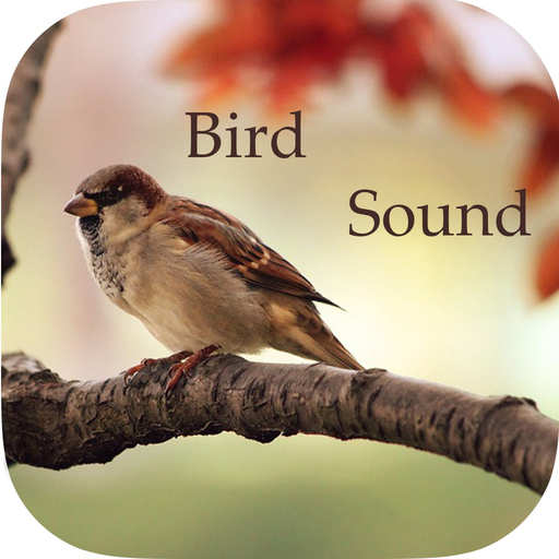 Bird Sounds -Bird relax,sleep Sounds app icon