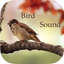 Bird Sounds -Bird relax,sleep Sounds icon