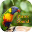 Parrot Sounds - Cockatoo,Caique,Kakariki icon