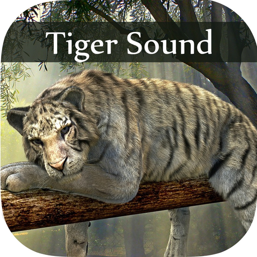 Tiger Sounds - Tiger Sounds for Kids app icon