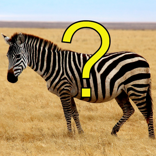 Pic Quiz app icon