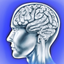 Memory Games Concentration icon