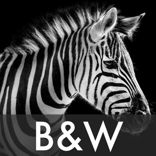 Black & White Photo Effects app icon