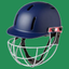 Cricket Training icon