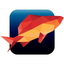 Dual-fisheye viewer icon