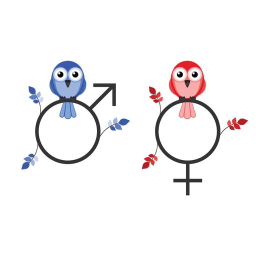 STABVIDA birds app icon
