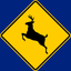 British Columbia, Canada Driver Knowledge Test icon