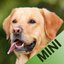 Animal Sounds App Kids (mini) icon