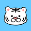 Tiger's Workout icon
