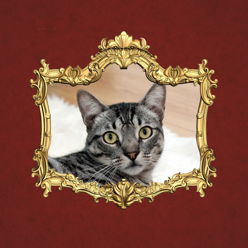 Mirror Mirror - Sticker Frames app icon