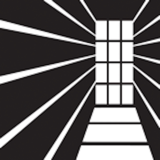Puritan Boston Tests Democracy app icon