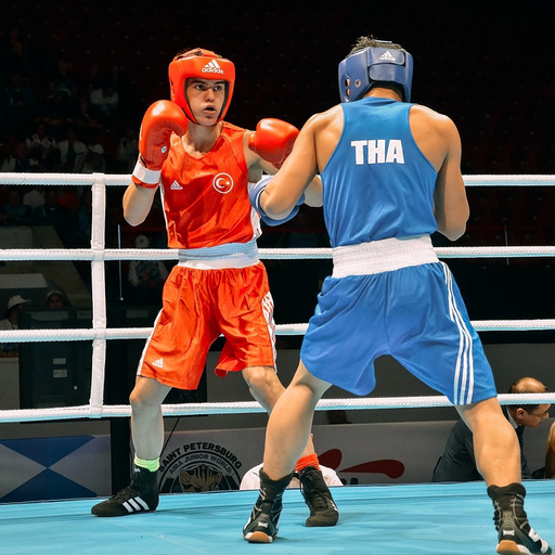Boxing Tutorials app icon