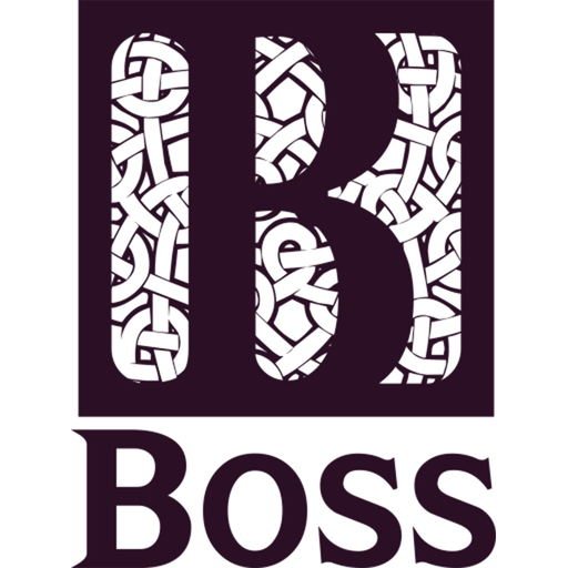 Boss remote app icon