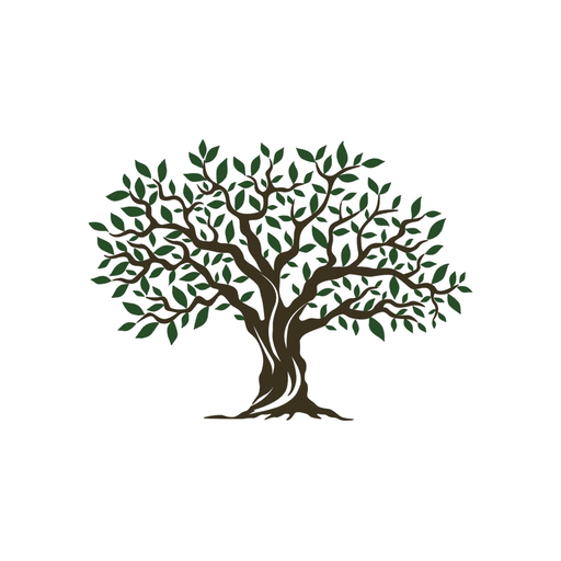 Barron Road Baptist Church app icon