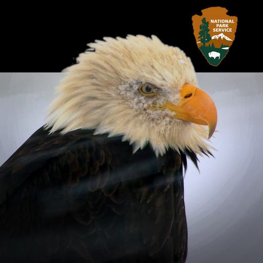 NPS Kenai Fjords app icon