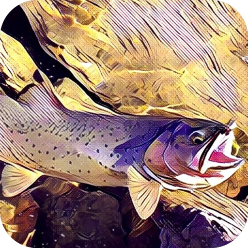 Montana Fishing Access app icon