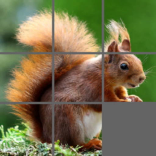 Sliding Puzzle - Pegolandia app icon