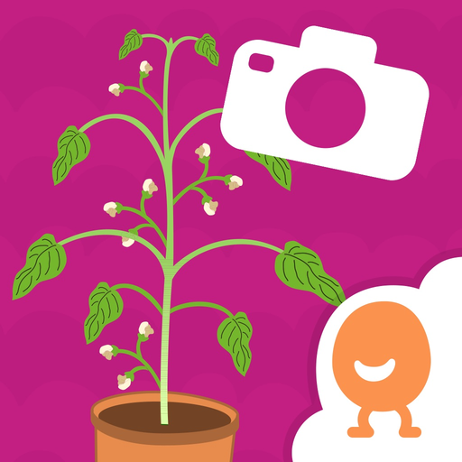 Nico & Nor Plants Journal app icon