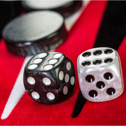 Backgammon Match app icon