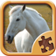 Horse Puzzle Games - Amazing Logic Puzzles icon