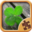 Leaf Puzzle Games - Real Picture Jigsaw Puzzles icon