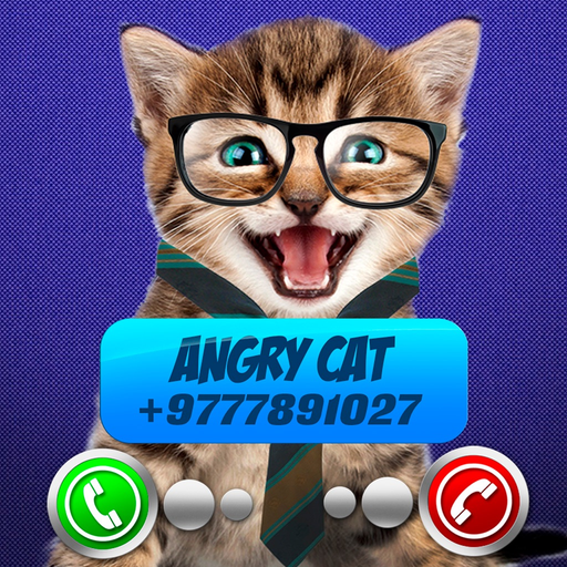 Fake Call Video Cat Joke app icon