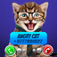 Fake Call Video Cat Joke icon