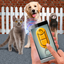 Training Pet Clicker icon