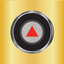 Insite Gold icon