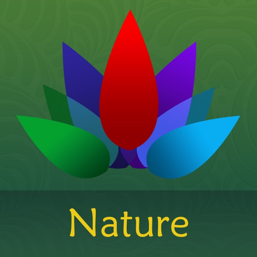 Chill & Relax Nature: Green Forest, Calm Water app icon