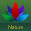 Chill & Relax Nature: Green Forest, Calm Water icon