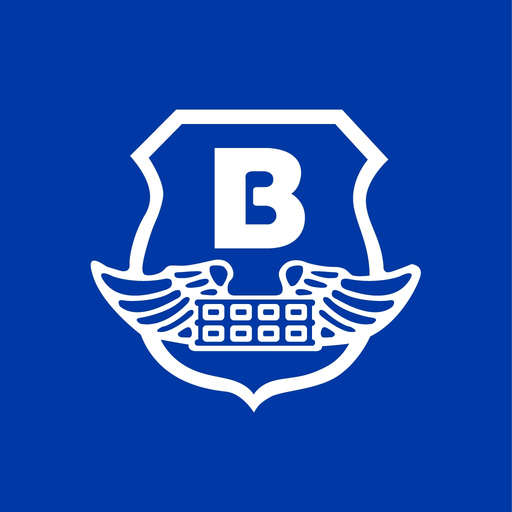 Brink's Vision app icon