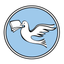 Sanjevani News icon