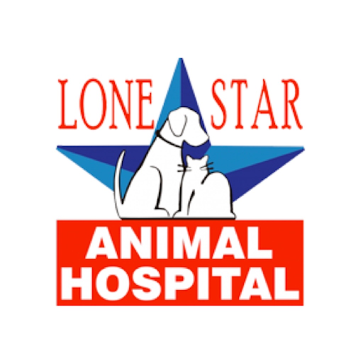 LSAH app icon