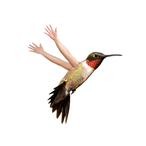 Birds with Human Arms app icon