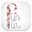 Baruban icon
