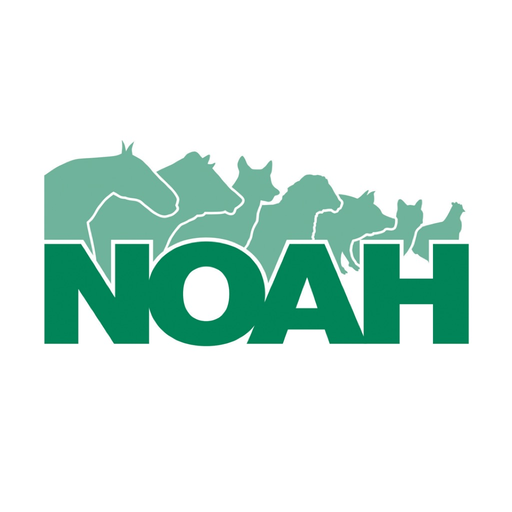 NOAH Compendium app icon
